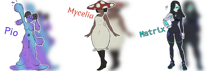 parpal-promotion-nl2