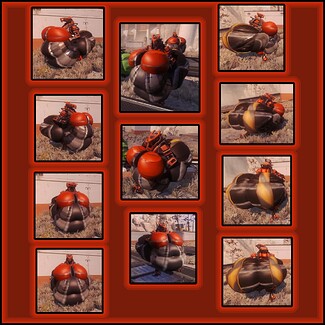 20251022.170010 StalkinRed