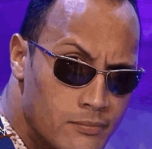 the-ROCK-eyebrow
